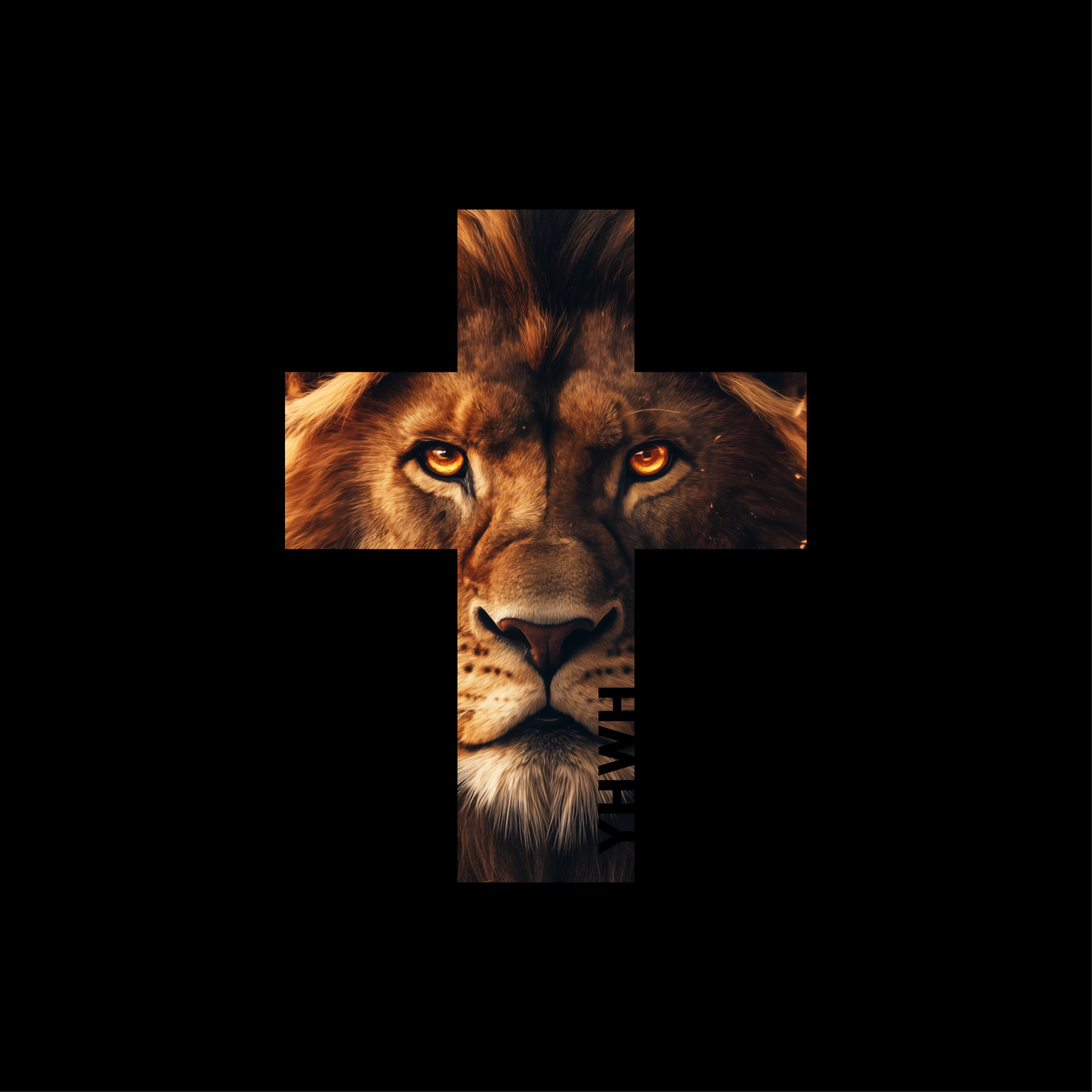 Zoom visuel Sweat à capuche chrétien homme « Lion YHWH »